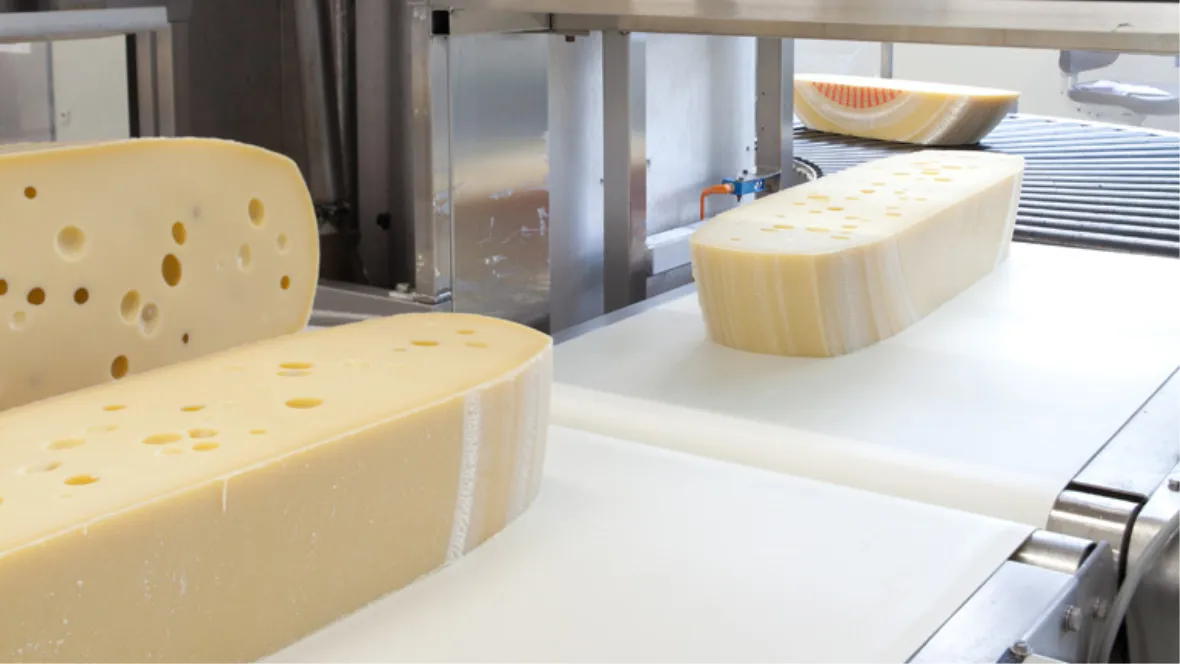 conveyor belts for cheese butter processing 