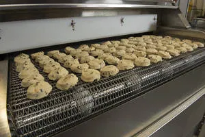 conveyor belts for dough processin