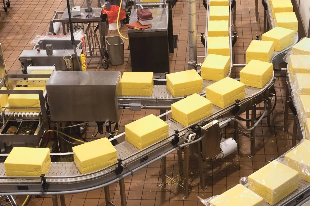conveyor belts for food packing