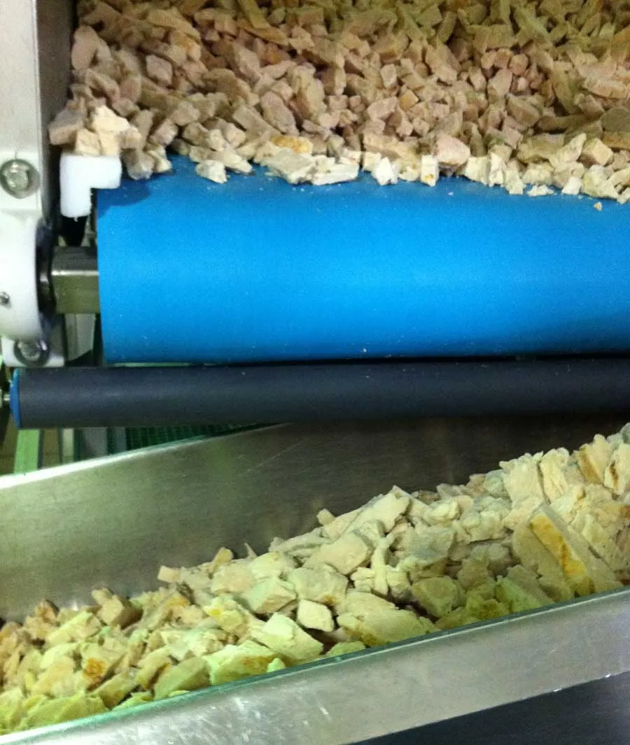 conveyor  belts for meat poultry and sea food