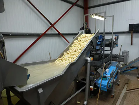 single potato conveyor for slicer