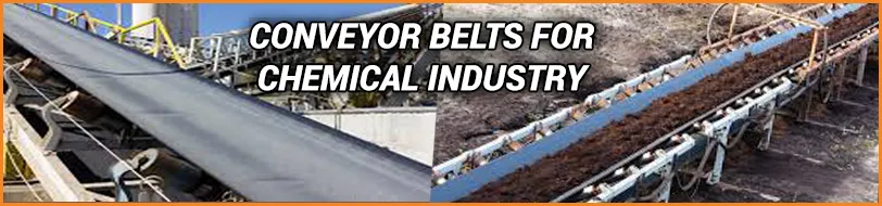 Conveyor Belt for Chemical Industry