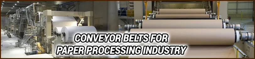 Conveyor Belts for Paper Processing