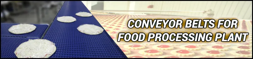 Food Processing Conveyor Belts